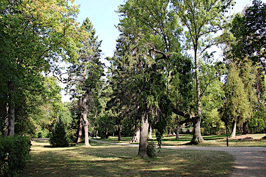 Der Schlosspark beeindruckt mit seinem alten Baumbestand